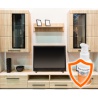 Nano Protect Painted Surface Pack