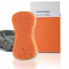 Wash Sponge